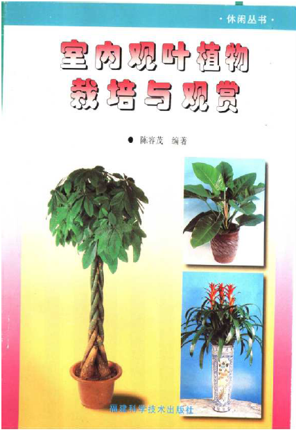 �҃��^�~ֲ�������c�^�p ���ï